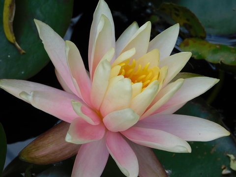 未来与梦想